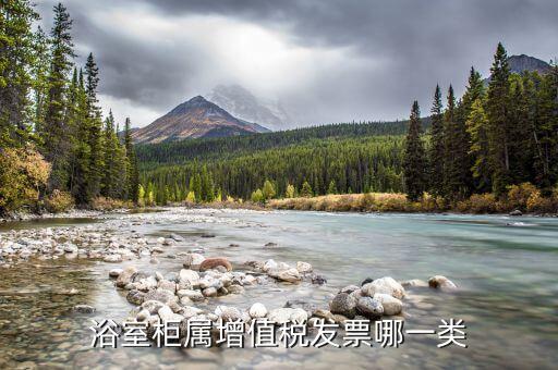 湖北衛(wèi)浴柜品牌,衛(wèi)浴柜品牌排行榜前十名有哪些