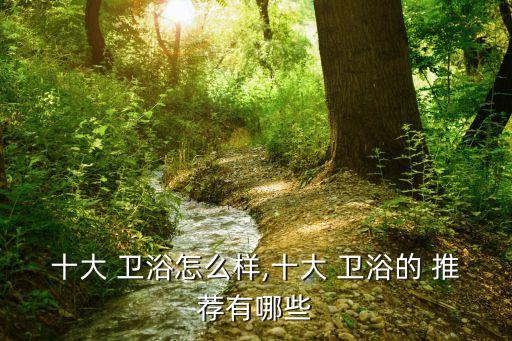十大 衛(wèi)浴怎么樣,十大 衛(wèi)浴的 推薦有哪些