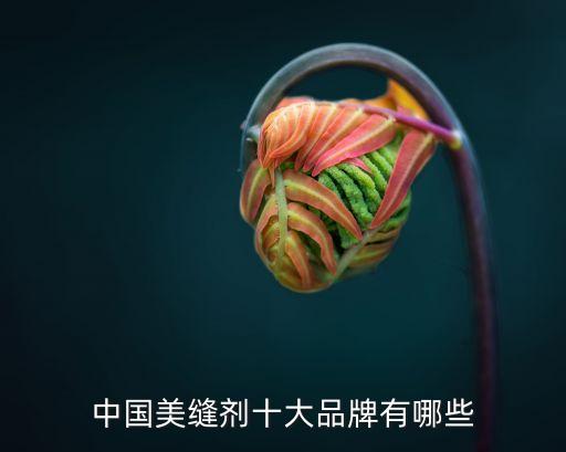 佛山帝壹衛(wèi)浴有限公司電話,佛山迪智電源有限公司