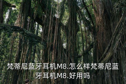 梵蒂尼衛(wèi)浴推薦品牌有哪些