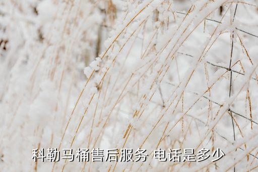黃岡市衛(wèi)浴電話,toto衛(wèi)浴電話