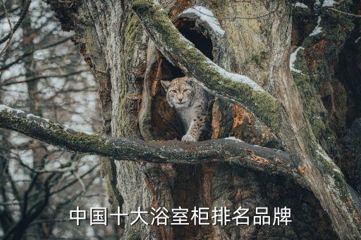 中國(guó)十大浴室柜排名品牌