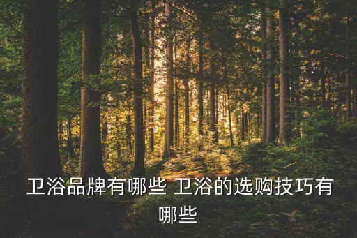  衛(wèi)浴品牌有哪些 衛(wèi)浴的選購(gòu)技巧有哪些