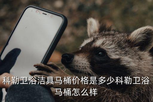 科勒衛(wèi)浴潔具馬桶價(jià)格是多少科勒衛(wèi)浴馬桶怎么樣