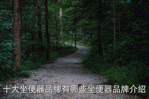 衛(wèi)浴推薦馬桶品牌歐美,衛(wèi)浴馬桶品牌排行榜