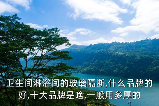 衛(wèi)生間淋浴間的玻璃隔斷,什么品牌的好,十大品牌是啥,一般用多厚的