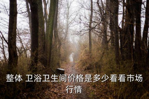 整體 衛(wèi)浴衛(wèi)生間價(jià)格是多少看看市場行情