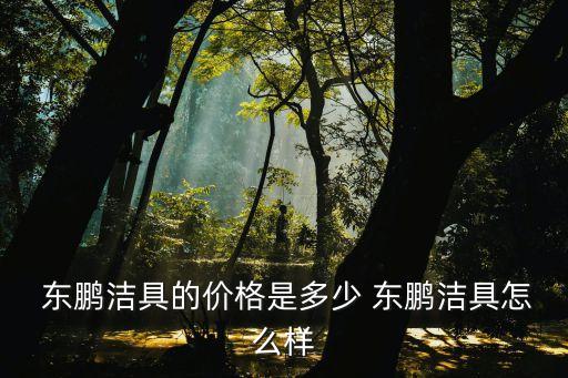  東鵬潔具的價格是多少 東鵬潔具怎么樣