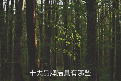 十大品牌潔具有哪些