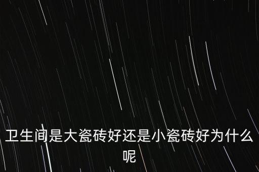 衛(wèi)生間是大瓷磚好還是小瓷磚好為什么呢