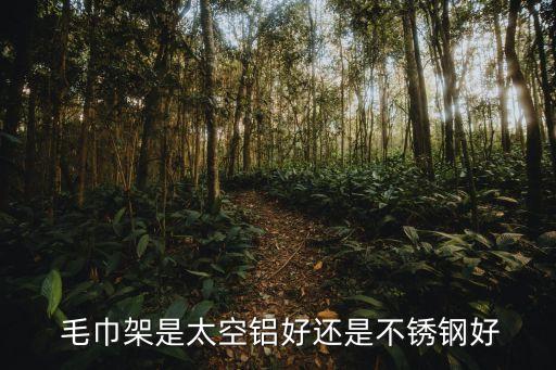  毛巾架是太空鋁好還是不銹鋼好