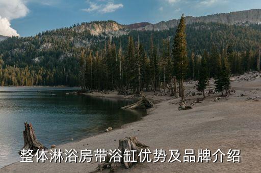 整體淋浴房帶浴缸優(yōu)勢(shì)及品牌介紹