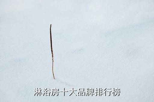 寶馬衛(wèi)浴價格及圖片,九牧衛(wèi)浴價格與圖片