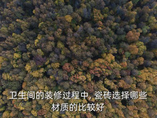 衛(wèi)生間的裝修過(guò)程中, 瓷磚選擇哪些材質(zhì)的比較好