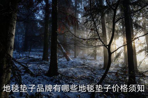 衛(wèi)浴吸水墊推薦品牌