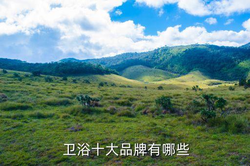  衛(wèi)浴十大品牌有哪些