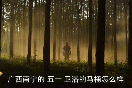 廣西南寧的 五一 衛(wèi)浴的馬桶怎么樣