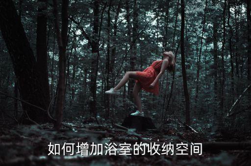黑色極簡衛(wèi)浴壁龕圖片欣賞