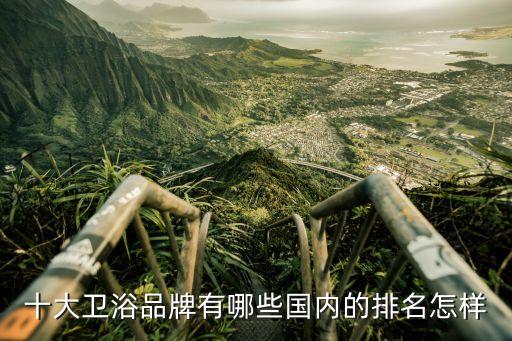 十大衛(wèi)浴品牌有哪些國內(nèi)的排名怎樣