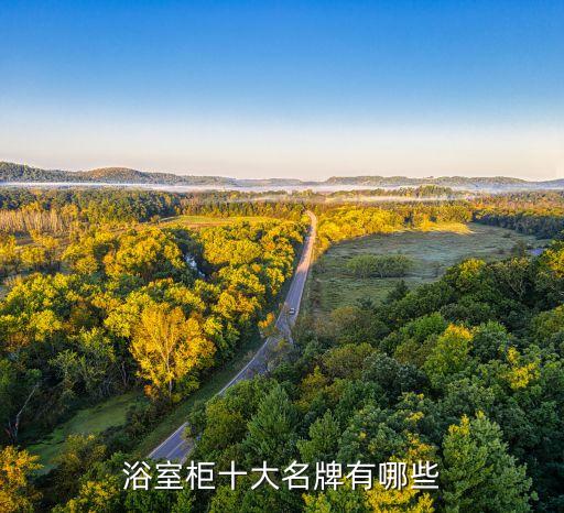 高級感衛(wèi)浴柜品牌推薦歐式