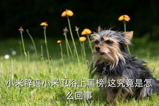 小米辟謠小米衛(wèi)浴上黑榜,這究竟是怎么回事