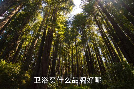 衛(wèi)浴啥品牌推薦的,廣東衛(wèi)浴十大品牌推薦