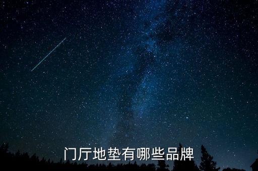 門廳地墊有哪些品牌