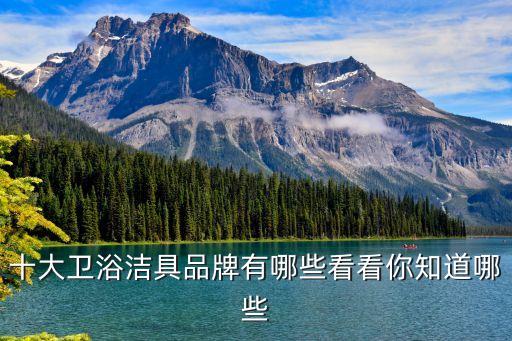 十大衛(wèi)浴潔具品牌有哪些看看你知道哪些