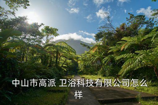  中山市高派 衛(wèi)浴科技有限公司怎么樣