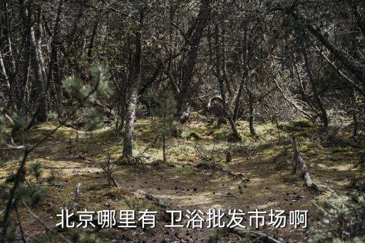 北京哪里有 衛(wèi)浴批發(fā)市場啊
