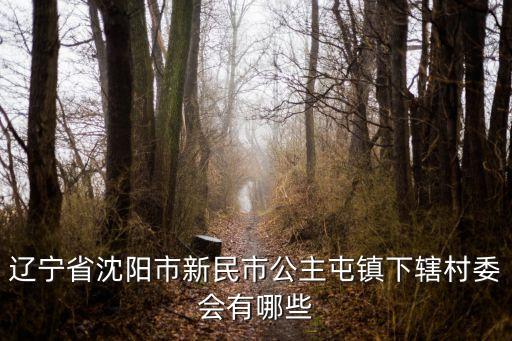 遼寧省沈陽市新民市公主屯鎮(zhèn)下轄村委會有哪些
