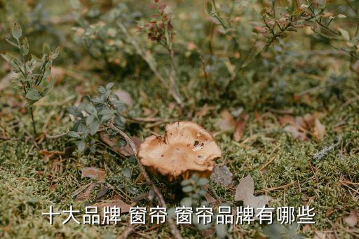 十大品牌 窗簾 窗簾品牌有哪些