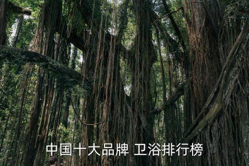 中國(guó)十大品牌 衛(wèi)浴排行榜