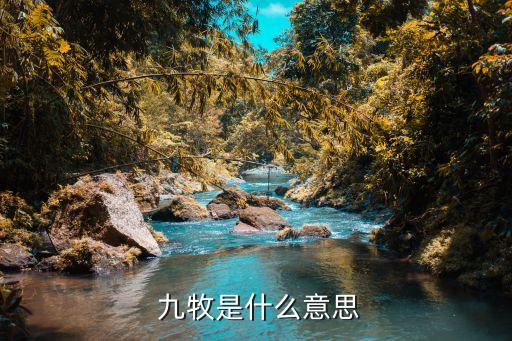 九牧優(yōu)品衛(wèi)浴電話客服,九牧和小牧優(yōu)品衛(wèi)浴哪個質量好