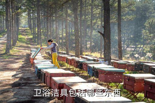 衛(wèi)浴潔具包括哪些東西