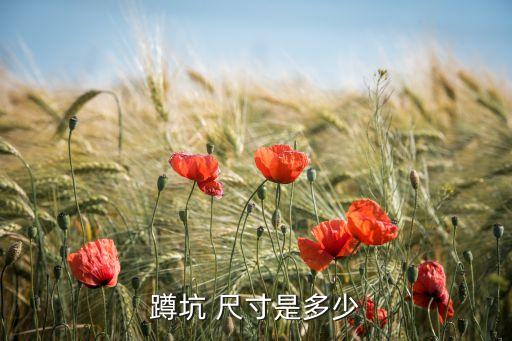 衛(wèi)浴墻面尺寸標準圖片