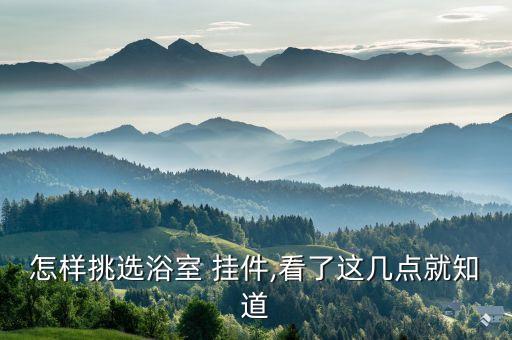 怎樣挑選浴室 掛件,看了這幾點就知道
