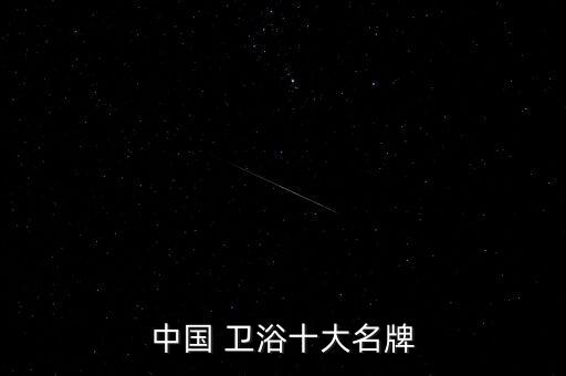 中國 衛(wèi)浴十大名牌