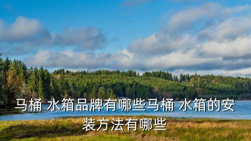 馬桶 水箱品牌有哪些馬桶 水箱的安裝方法有哪些