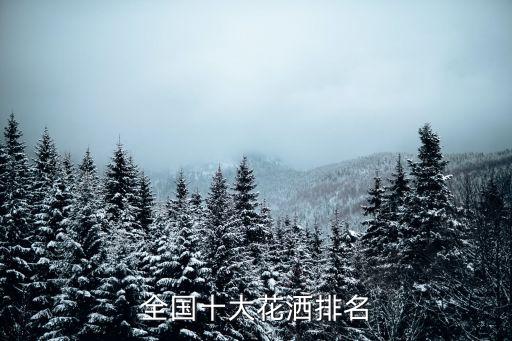 全國十大花灑排名