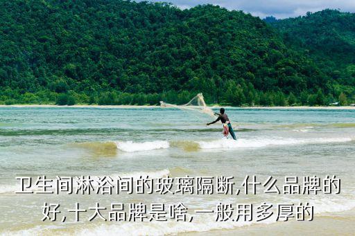 理想衛(wèi)浴發(fā)展歷程圖片大全