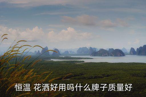  恒溫 花灑好用嗎什么牌子質(zhì)量好