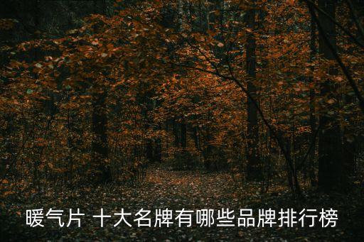暖氣片 十大名牌有哪些品牌排行榜