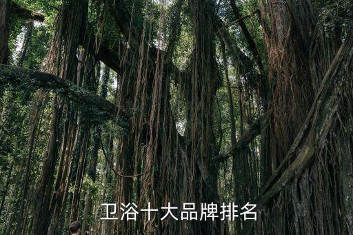  衛(wèi)浴十大品牌排名