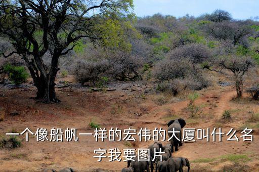 一個像船帆一樣的宏偉的大廈叫什么名字我要圖片