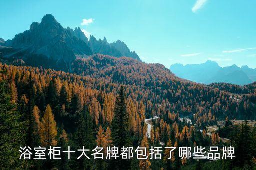 巖板衛(wèi)浴柜哪個品牌好,衛(wèi)浴臺面巖板和陶瓷哪個好