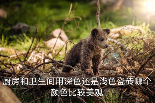 廚房和衛(wèi)生間用深色還是淺色瓷磚哪個顏色比較美觀
