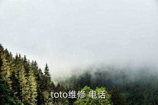 toto維修 電話