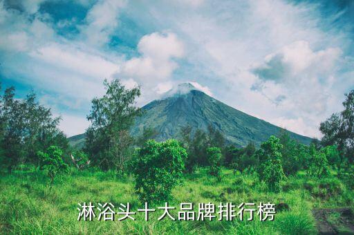 淋浴頭十大品牌排行榜