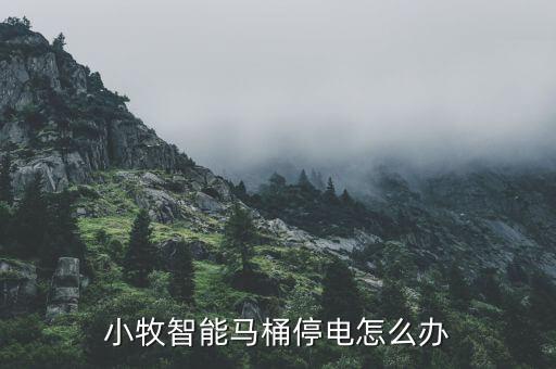 小牧智能馬桶停電怎么辦